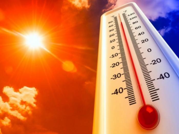 Рекордная жара: в Германии побит температурный рекорд, а в Бельгии погибла женщина