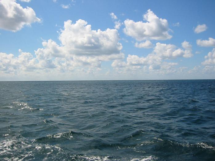 В Черном море концентрация опасных веществ превышает норму. Фото: Цензор