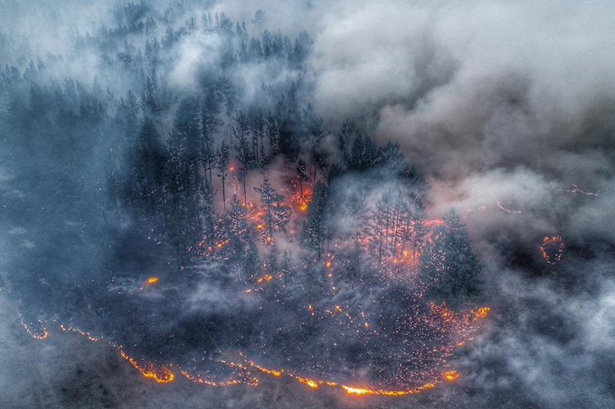 Пожар в Сибири. Фото: Капитал, Twitter, ТВЦ