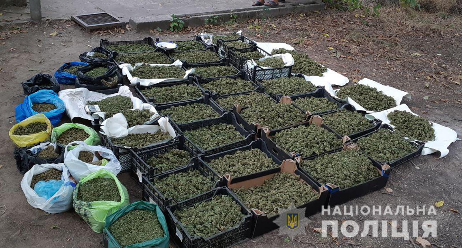 В Запорожской области изъяли наркотики на 20 млн грн. Фото: Нацполиция Запорожской области