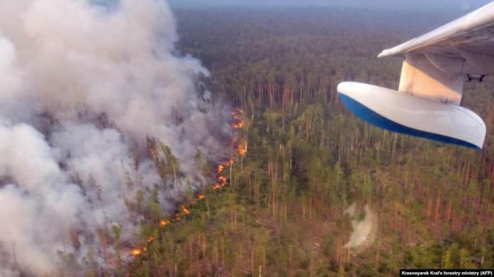 У Росії продовжують палати масштабні лісові пожежі, фото: Міністерство лісового господарства Красноярського краю