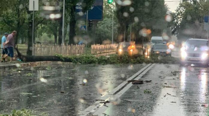 В Киеве масштабный ураган затопил улицы и повалил деревья. Фото: очевидцы в Facebook