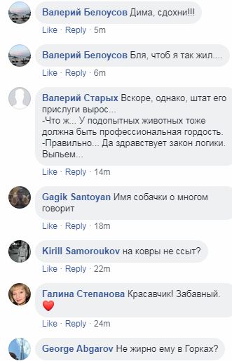 Новини Росії: Медведєв розлютив мережу відео зі своєї резиденції, скріншот з Фейсбук Д.Медвєдєва