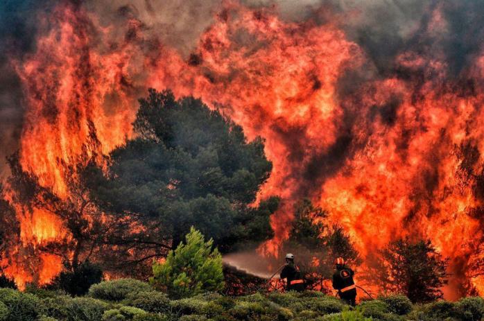 У передмісті Афін вирує масштабна лісова пожежа. Фото: leadership