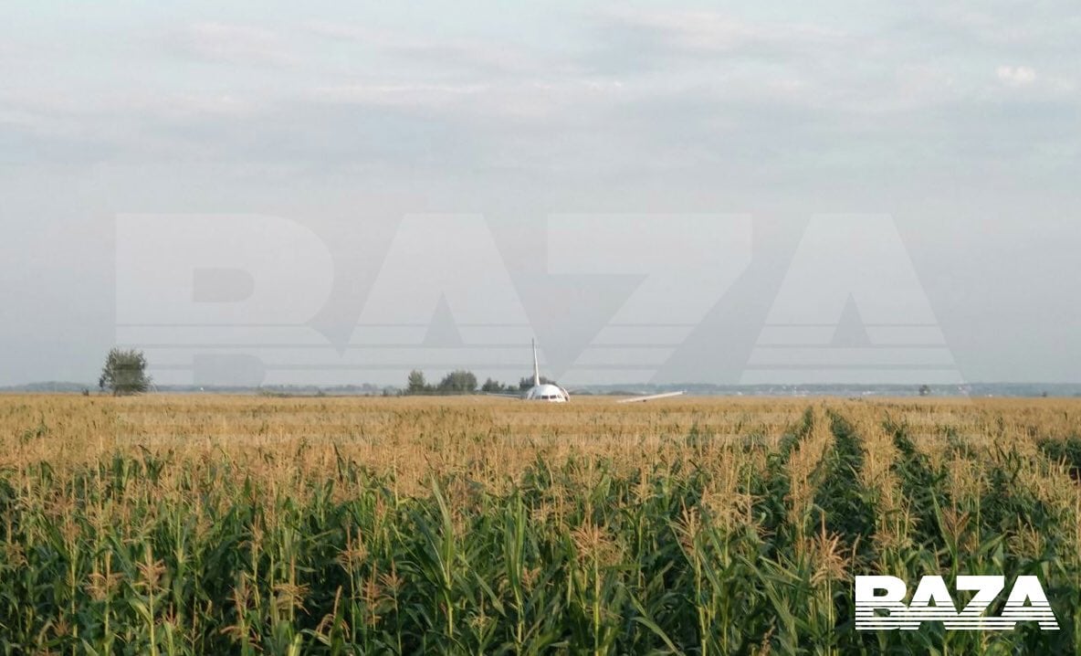 Новини авіації: літак, що летів до Сімферополя, екстрено сів на кукурудзяному полі під Москвою, фото — Baza