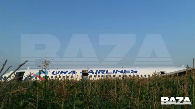 Новости авиации: самолет, летевший в Симферополь, экстренно сел на кукурузном поле под Москвой, фото — Baza