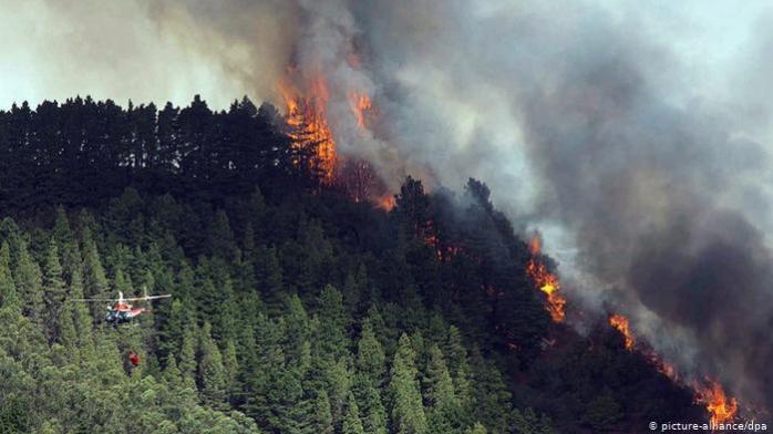 Лісові пожежі на Канарах: 9 тис. осіб евакуйовано. Фото: www.dw.com