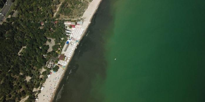 Отдых на Азове: вблизи Мелитополя море внезапно почернело, фото - Новое время