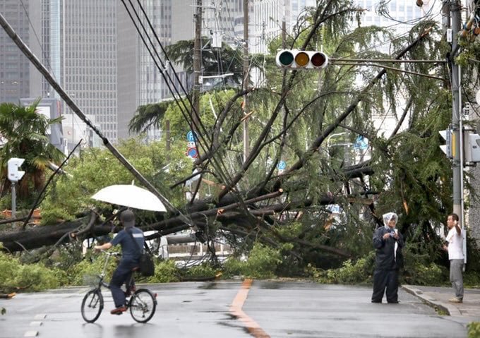 Тайфун у Японії. Фото: twitter/AuthorKristineO