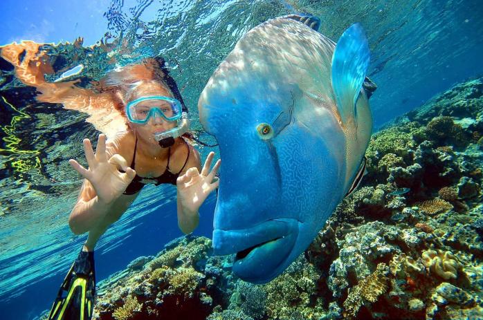 Египет защитит коралловые рифы в Красном море новыми запретами для туристов. Фото: th.by