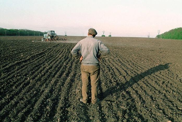 Земельная реформа: аграрный комитет Рады внезапно провел заседание и одобрил продажу земли, фото — Деловая столица
