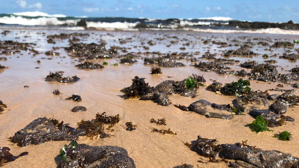 Очистка от нефти берега Бразилии. Фото: ВВС