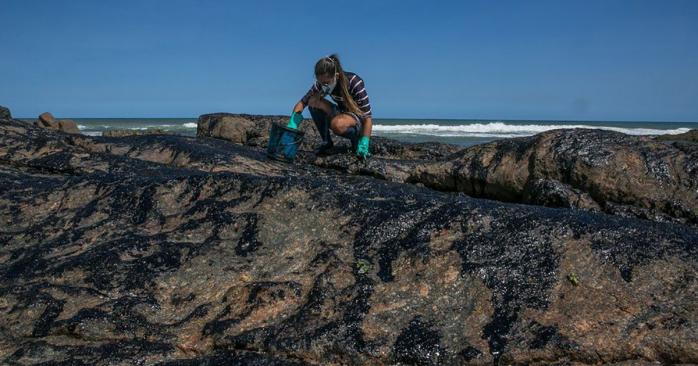 Очистка від нафти берега Бразилії. Фото: ВВС