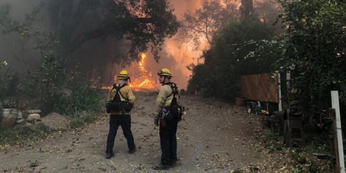 Калифорния страдает от пожаров, фото: The Press Democrat