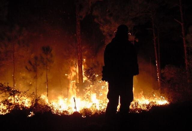 Пожежі в Каліфорнії: зірки Голлівуду залишили свої будинки, фото: National Park Service