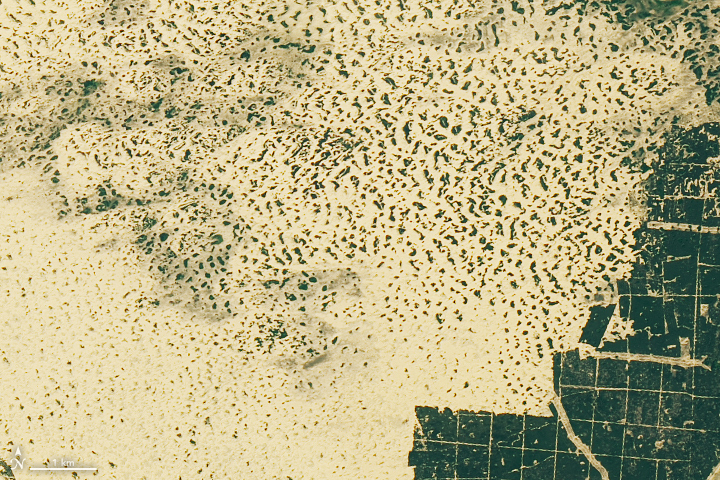 Українська міні-пустеля. Фото: NASA