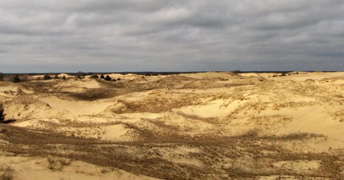 Олешківські піски в Україні. Фото: Вікіпедія