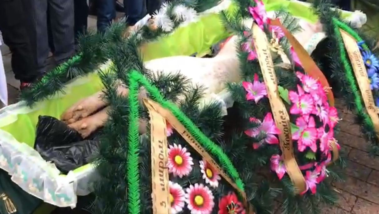 Протесты возле Рады: депутатам подложили свинью в гробу, фото — скриншот видео
