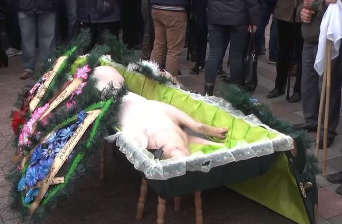 Протести біля Ради: депутатам підклали свиню у труні, фото — скріншот відео