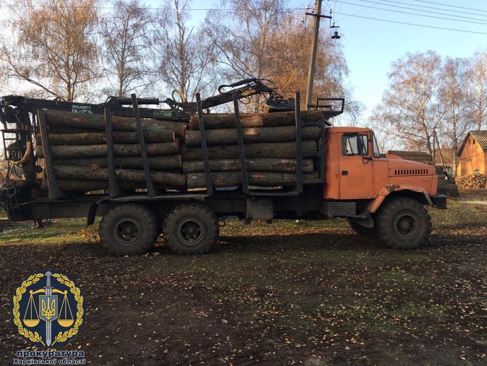 Розтрата держмайна на 98 млн грн: лісництво на Харківщині займалося незаконною рубкою. Фото: gp.gov.ua