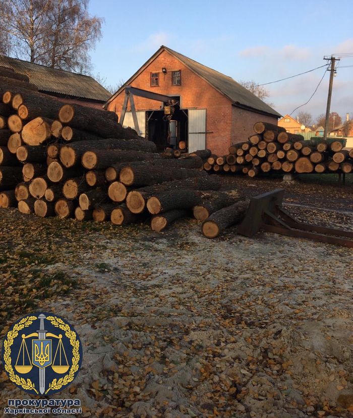 Розтрата держмайна на 98 млн грн: лісництво на Харківщині займалося незаконною рубкою. Фото: gp.gov.ua