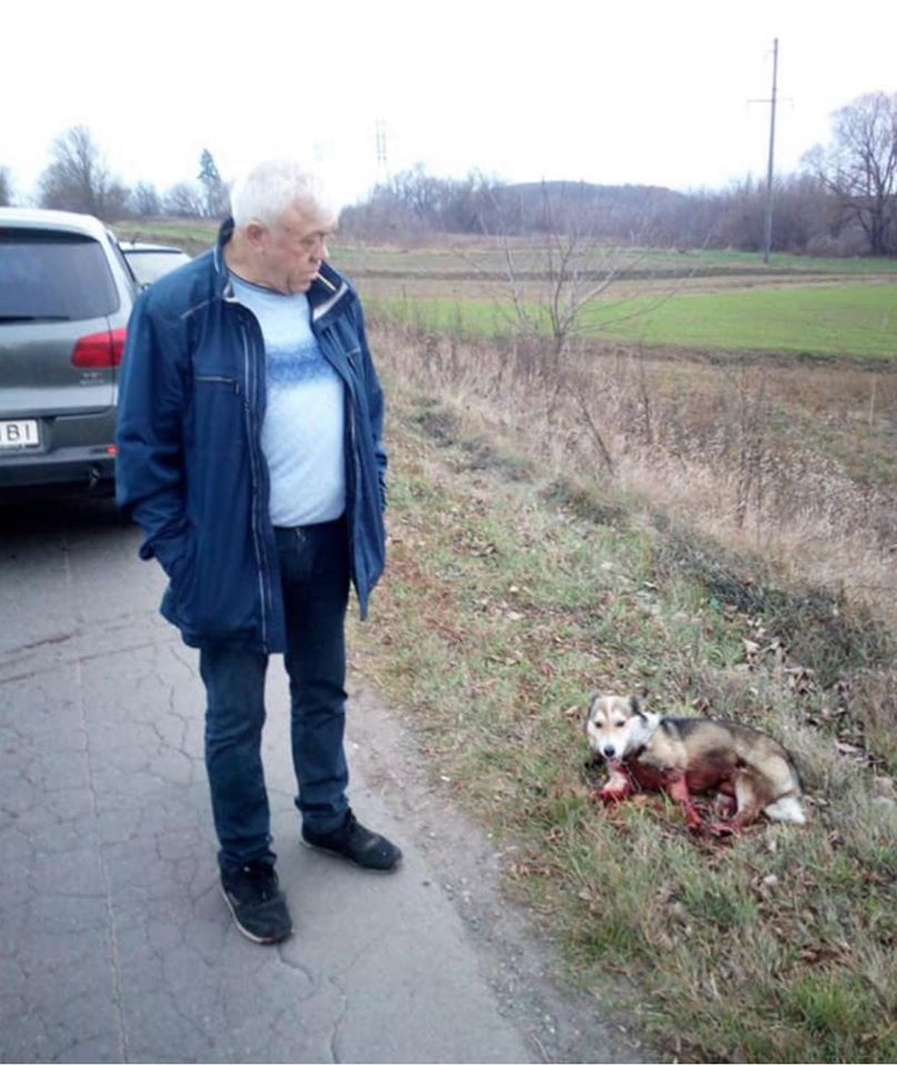 Чиновник тащил собаку за автомобилем на цепи. Фото: полиция Хмельницкой области