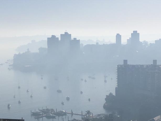 В Австралии из-за пожаров Сидней затянуло дымом, фото: Twitter