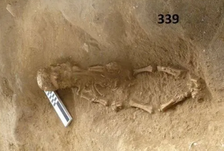 Археологи откопали останки детей в «шлемах» из человеческих черепов. Фото: The Sun