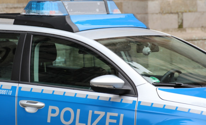 Полиция ФРГ объявила награду в 500 тыс. евро за информацию о грабителях сокровищницы «Зеленый свод», фото: pxhere 