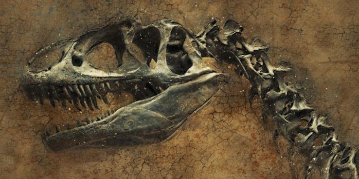 Вымирание динозавров произошло на границе мелового и палеогенового периодов