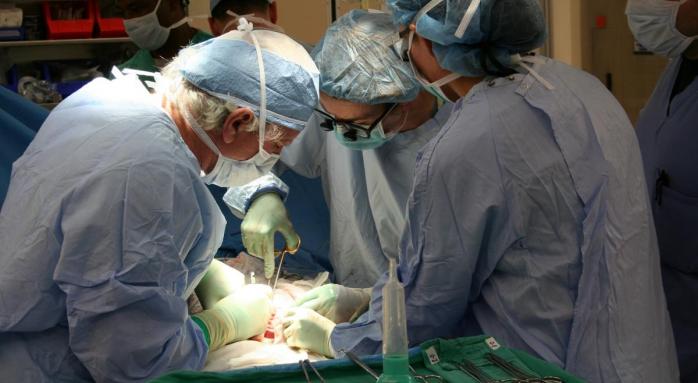 Рада урегулировала вопросы трансплантации
