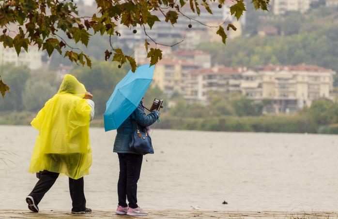 Погода в Украине на 23 декабря: украинцев предупреждают о дождях, фото: pixabay