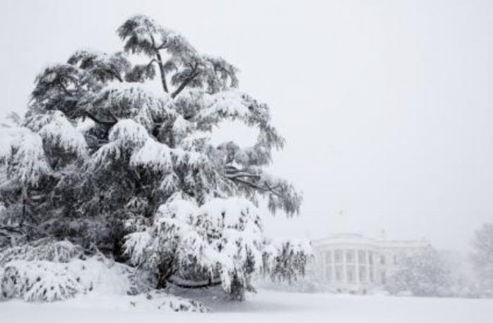 Погода в Україні на 29 грудня: синоптики розповіли, в яких областях очікувати сніг, фото: White House