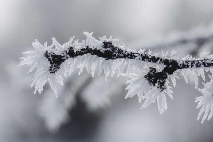 Погода в Україні: 30 грудня буде сонячно, але морозяно, фото: pixabay 