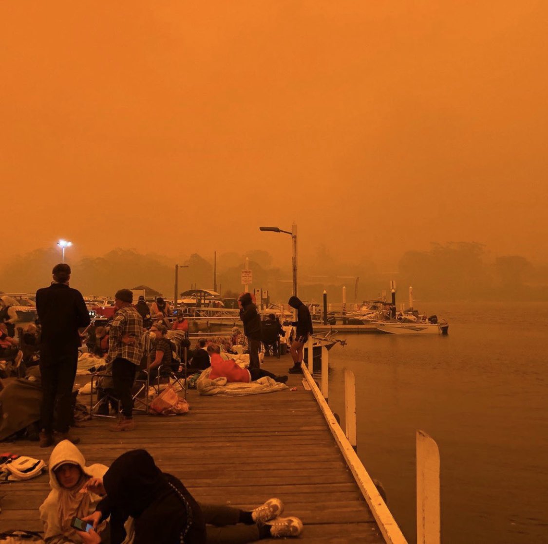 В Австралії тисячі туристів втекли до узбережжя океану через лісові пожежі, фото: twitter-Siobhan Heanue