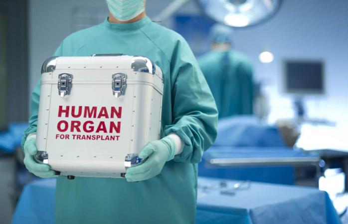  Кабмин установил цены на трансплантацию органов, фото — ukrhealth.net