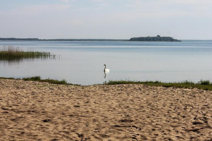 В Украине открыли дело из-за обмеления Шацких озер на Волыни, фото: википедия