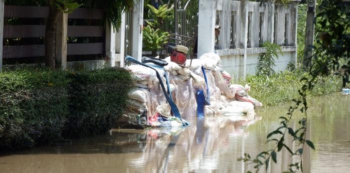 В Индонезии из-за наводнения погибли по меньшей мере 66 человек, фото: needpix