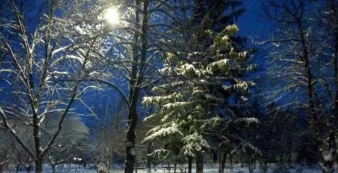 В ряде регионов Украине 9 января местами возможен мокрый снег и дождь, фото: «Ракурс»
