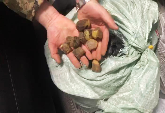 Украинец пытался вывезти 55 кг янтаря в ЕС, фото: Государственная пограничная служба Украины 