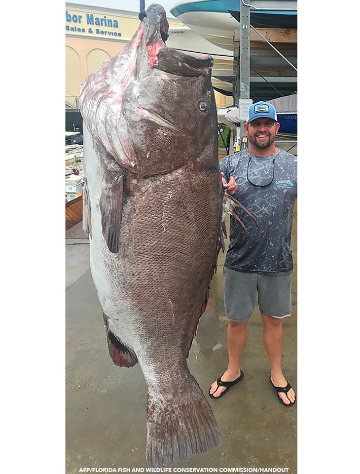 Риболовля у США: американець впіймав на гачок окуня-велета віком 50 років