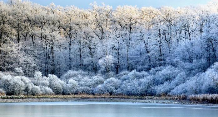 Погода в Україні: 21 січня очікується легкий мороз, фото: pixabay 