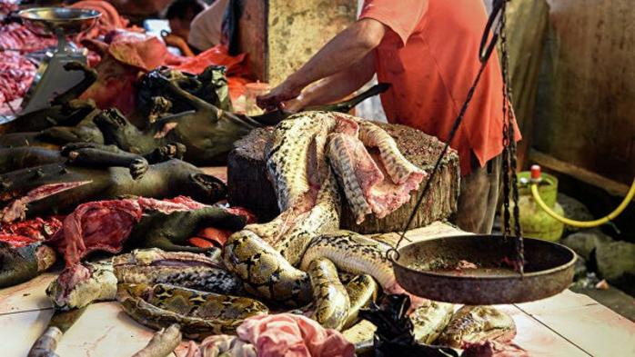 Змеи на рынке. Фото: РИА Новости