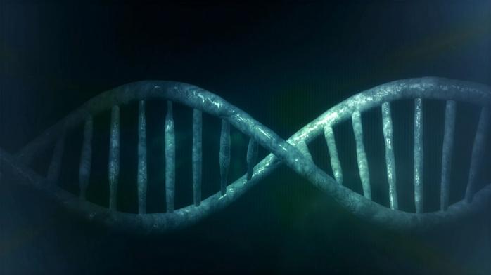 ДНК древніх людей віком 8 тис. років вперше розшифрували – генетики, фото: PublicDomainPictures 