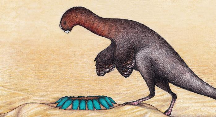 Рождения двуногих динозавров было близким к птичьему - ученые, фото: Википедия 