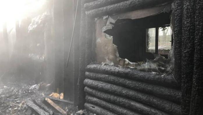 Огонь уничтожил «дом» пресмыкающихся, фото: Ouest-France