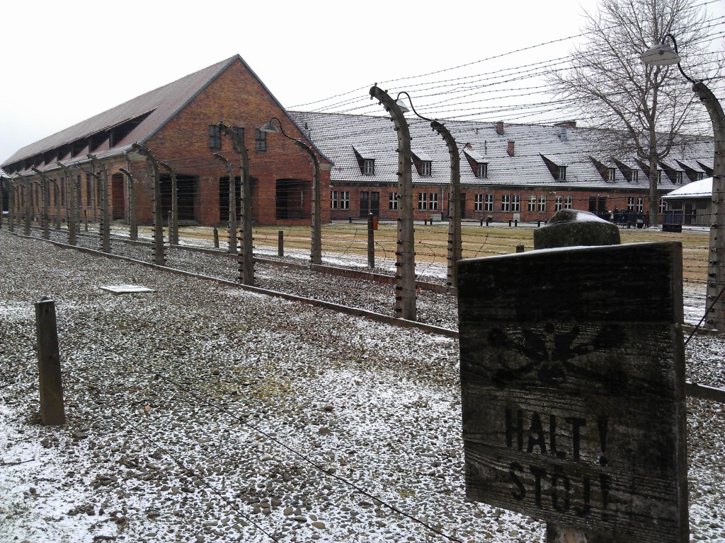 День пам'яті жертв Голокосту: 75 років тому звільнили Аушвіц — фабрику смерті Третього Рейху, фото — corruptua.org