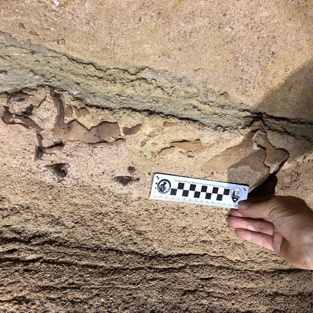 Найдена голова акулы, которая жила более 300 млн лет назад, фото: Mammoth Cave National Park