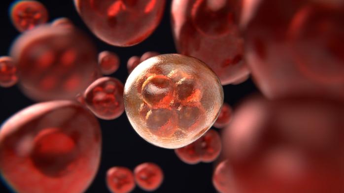 Лечение онкозаболеваний: ученые расшифровали геном 38 видов рака, фото: pixabay