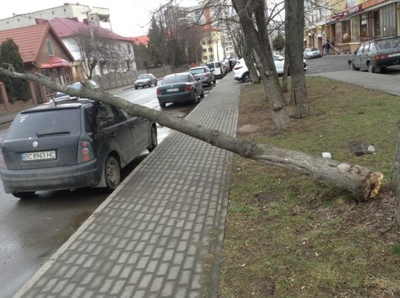 Негода на Львівщині наробила лиха. Фото: ДСНС